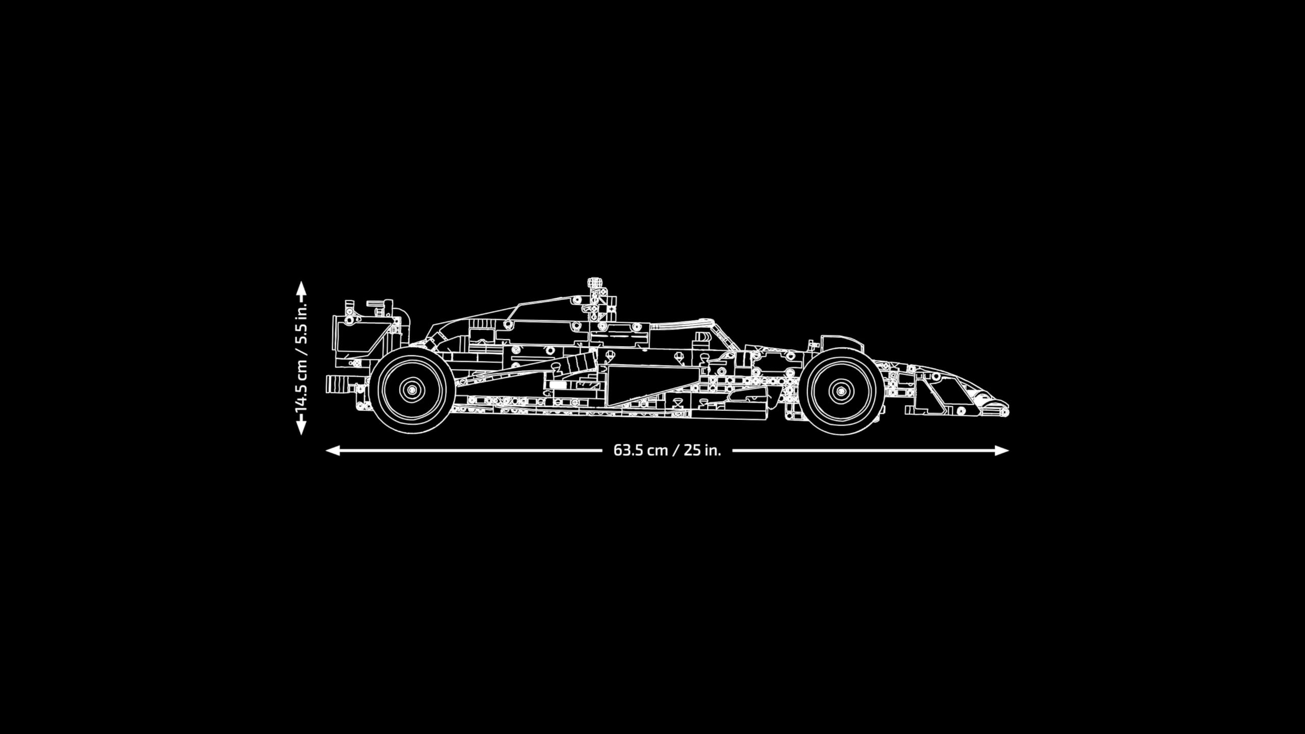 LEGO Technic Oracle Red Bull Racing RB20 F1 42206, 1:8 Modellauto mit V6-Motor, Getriebe, Lenkung & DRS, Bauset für Erwachsene & Teenager